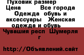 Пуховик размер 42-44 › Цена ­ 750 - Все города Одежда, обувь и аксессуары » Женская одежда и обувь   . Чувашия респ.,Шумерля г.